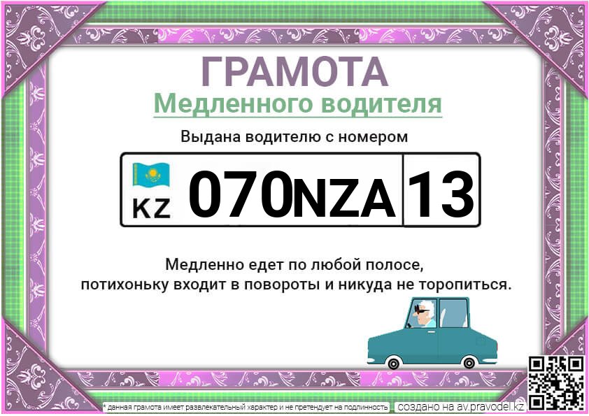 070NZA13